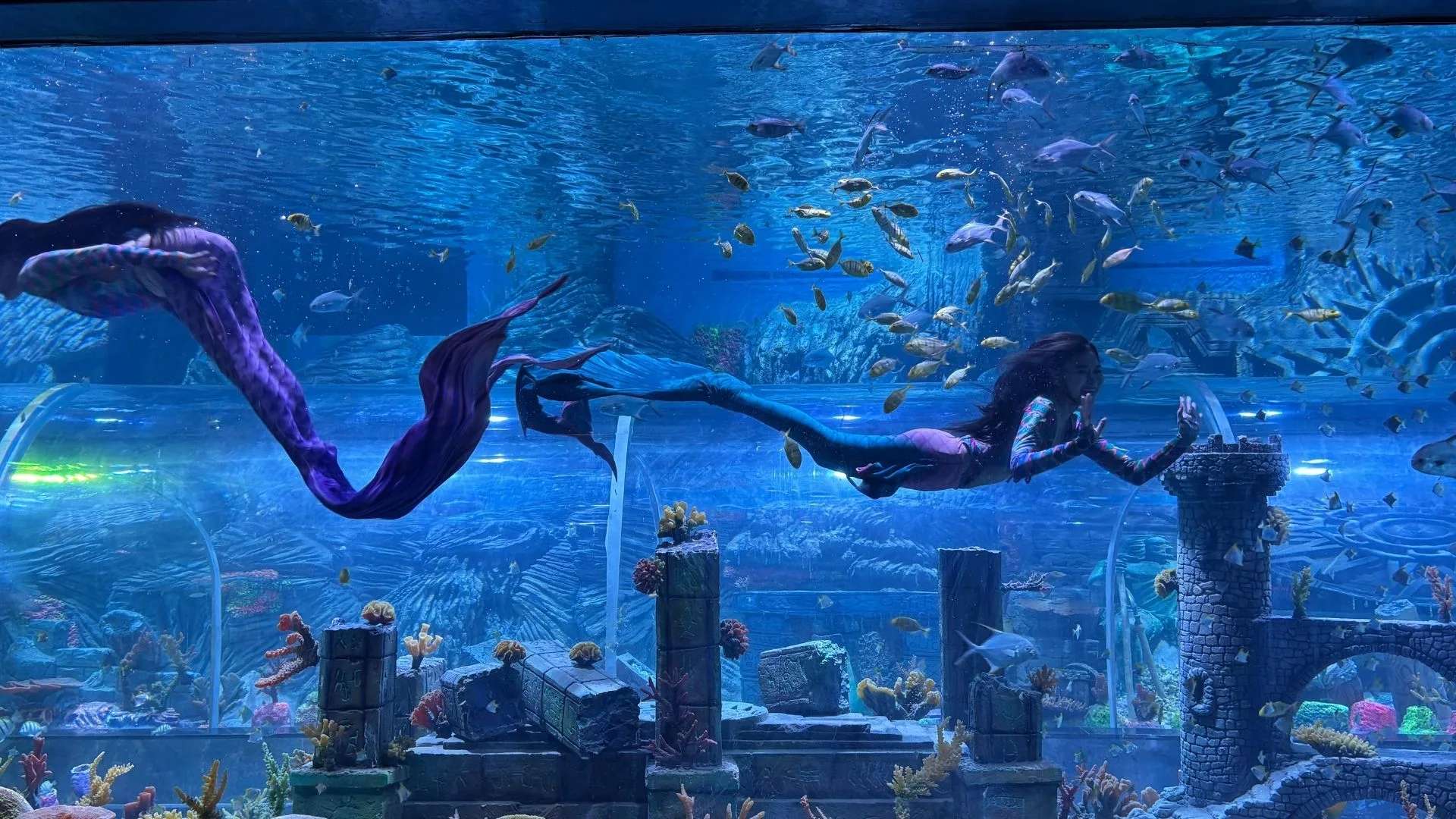 Is Aquarium Paradise Ideal for Families and Groups?
